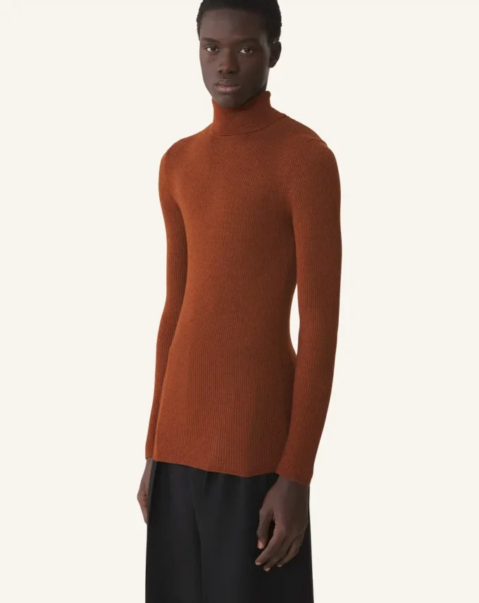 Jersey de cuello alto de lana merino y seda Jersey de cuello alto de lana merino y seda