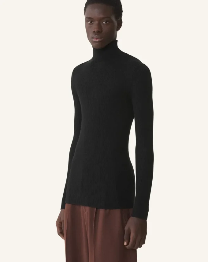 Jersey de cuello alto de lana merino y seda Jersey de cuello alto de lana merino y seda