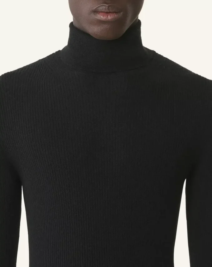 Jersey de cuello alto de lana merino y seda Jersey de cuello alto de lana merino y seda
