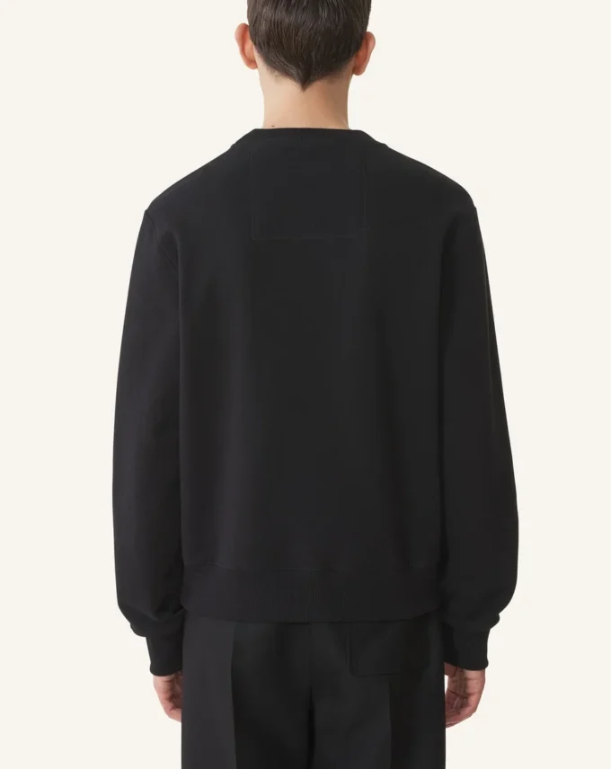Sudadera de algodón bordada Lanvin Sudadera de algodón bordada Lanvin